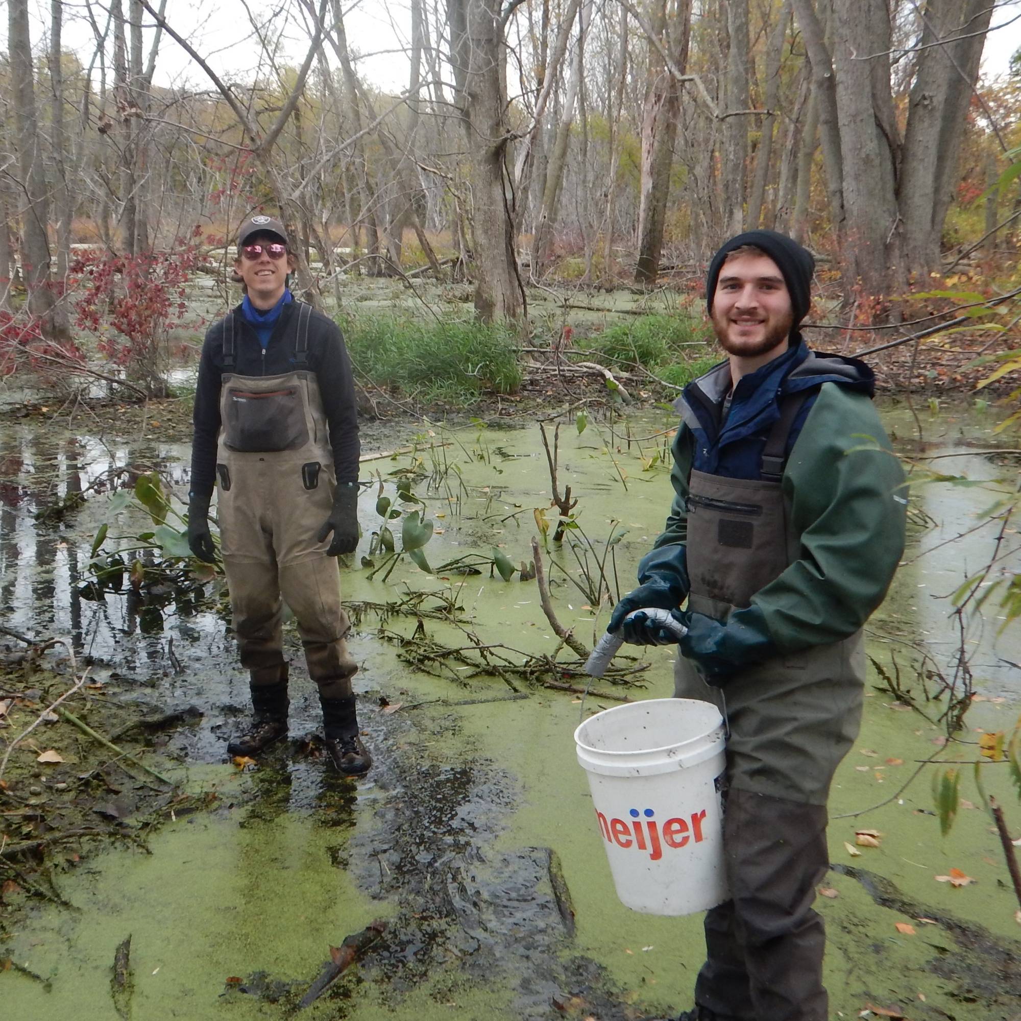 Two students are standing in a wetland at riverside park getting ready to sample fish using fyke nets.